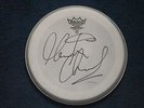 MARTIN CHAMBERS PRETENDERS MOTT THE HOOPLE SIGNED DRUMHEAD