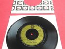 The Flamin Groovies Shake Some Action 7