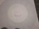 neglect 7inch integrity madball nyhc one life crew ringworm judge warzone mosh
