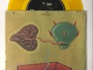 Lungfish 7