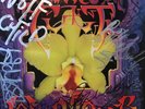 THE CULT - WILDFLOWER - 12