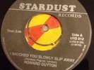 I watched you slowly slip away - Howard Guyton 7
