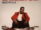 DIDDLEY, Bo - Bo Diddley Is A Lover - Vinyl (LP)