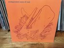 Amalgamated Sons Of Rest Lp Rare OOP Will Oldham Jason Molina Etched Vinyl