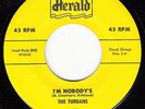 TURBANS - Herald 478 - I'm Nobody's / B-I-N-G-O - VG++ DOO-WOP 45 (original)