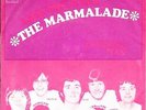 THE MARMALADE 45 I SEE THE RAIN+PS HOLLAND RARE EXCELLENT