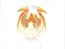 KINGS OF LEON Aha Shake Heartbreak 2 x 180gm Vinyl LP NEW & SEALED Sony Legacy