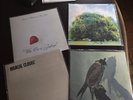 Yo la tengo, Majical Cloudz, Iceage, Stephen Malkmus And The Ficks- Vinyl Signed