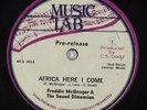 Freddie McGregor - Africa Here I Come 10