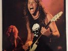 METALLICA WEED KILLER AND SUGAR  2xLP  VINYL Rare SOR 7507 Screaming Oiseau