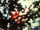 PINK FLOYD OBSCURED BY CLOUDS HARVEST SOUNDTRACK THE VALLEY VINYL NEAR MINT