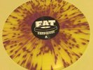 Teenage Bottlerocket Stealing The Covers LP