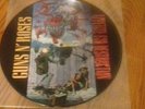 GUNS n' ROSES -Rape Picture Disc Vinyl LP Appetite for Destruction