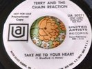 Mod Garage Punk Dancer 45 Terry and the Chain Reaction Take Me to Heart NM HEAR