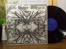 RAW HONEY LP 