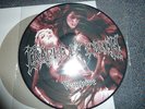 Cradle Of Filth  ?– Vempire Cacophonous Records ?– Nihil 6 PD  2003 VG++ Picture