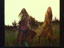 The Lion's Roar - FIRST AID KIT [LP]