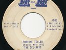DEL-RAYS Fortune Teller / Dimples R AND H Garage R&B 45 Hear