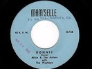 '62 FLA. DooWop/Teen MIKIE & ARDONS Donnie/Three's a Crowd MAM'SELLE VG++ HEAR