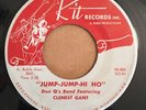 BLUES 45 Don Q's Band Clenest Gant JUMP JUMP HI HO/HATE TO SEE YOU GO Kit 884