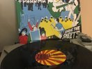 TED LEO AND THE PHARMACISTS Shake The Sheets LP LOOKOUT RECORDS