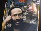 MARVIN GAYE SEXUAL HEALING LP MIDNIGHT LOVE SEALED MINT hype sticker