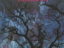 Phallus Dei - AMON DÜÜL II [LP]