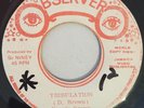 DENNIS BROWN - TRIBULATION - OBSERVER ( ROOTS REGGAE 7 )