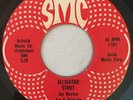 THE DARK SHADOWS - THE ROVING KIND - SMC ( ROOTS REGGAE 7 )