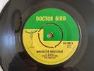 WINCHESTER ROCKSTEADY Doctor Bird  RARE   7