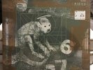 Doolittle by The Pixies (Vinyl, Re-issue) BRAND NEW IN PACKAGE