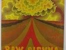 Savoy Brown - Raw Sienna LP - Parrot VG+