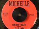 R&B SOUL LEE TILLMAN Fortune Teller MICHELLE 45 NM