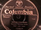 Columbia 14289D Walter Rhodes w PET & CAN Crowing Rooster 78 rpm  EE+ Blues 1927