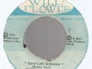BOBBY SOUL AND THE RIGHTEOUS FLAMES - BABYLON BURNING / CHAPTER 1         7