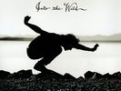 Into The Wild [VINYL] Vinyl