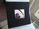 PEARL JAM 5x Vinyl LP 3x CD +Tape Deluxe Tenclub Fanclub Box Vs. Vitalogy (2011)