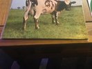 Pink Floyd Atom Heart Mother On Green Vinyl Lp