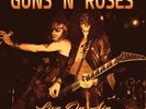 GUNS N ROSES New Sealed 2017 UNRELEASED 1991 & 92 LIVE CONCERT VINYL RECORD