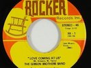 Gibson Brothers Band 