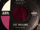 THE WAILERS 