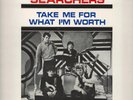 Searchers 