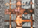 Warp Records - The Theory Of Evolution 2 x Vinyl LP 1995