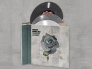 August Burns Red Vinyl 7' LP Phantom Anthem
