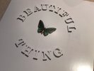 The Stone Roses   Beautiful Thing   12