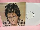 LP BRUCE SPRINGSTEEN RESTLESS NIGHTS 1979 LIVE IN NEW YORK