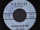 EXECS: Walking In The Rain / Palladium 45 (rubber stamp/xol) rare Vocal Groups