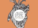 ALLEN STONE RADIUS LP VINYL NEW 33RPM