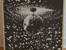 Neil Young - Mirror Ball (Vinyl 2 LPS Neu)