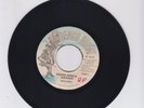 SOUTH AFRICA ANTHEM  -  RASJOEL  (80'S DIGI ROOTS 7